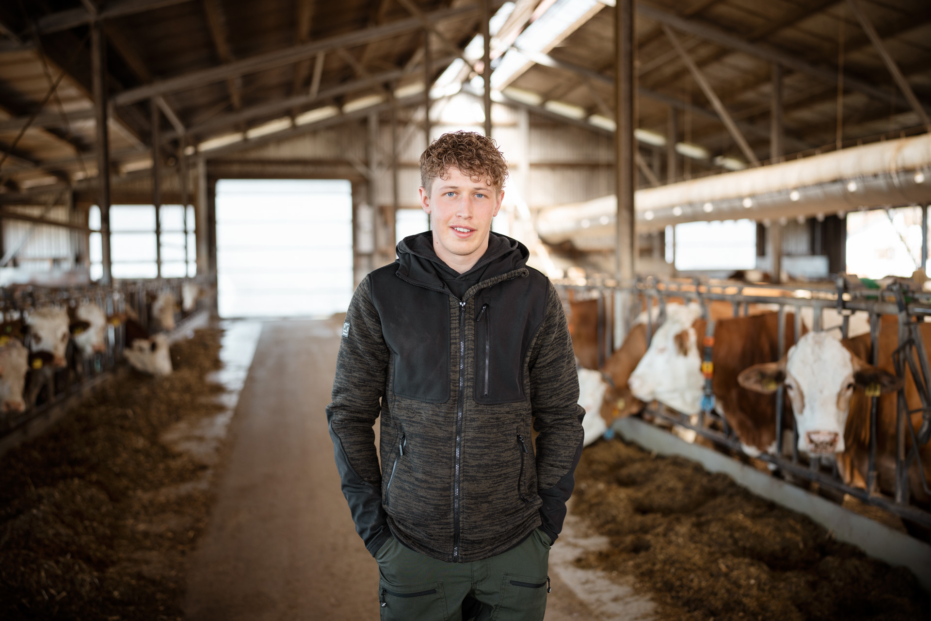 NEU.LAND. Pilotbetrieb Mayer im Kuhstall