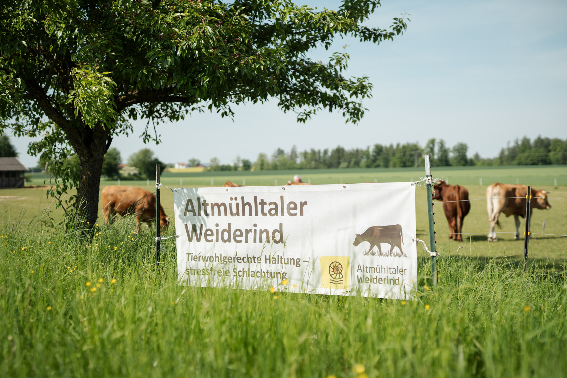 NEU.LAND. Pilotbetrieb Schneider Altmühltaler Weiderind