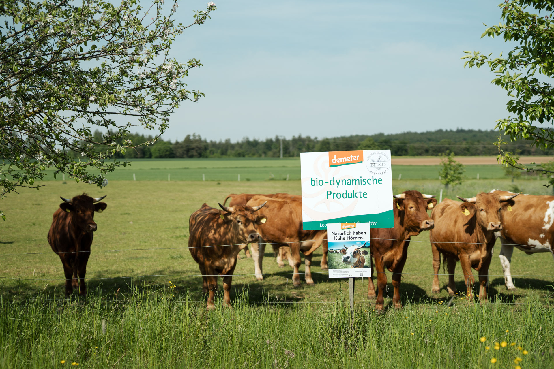 NEU.LAND. Pilotbetrieb Schneider biologisch-dynamisch