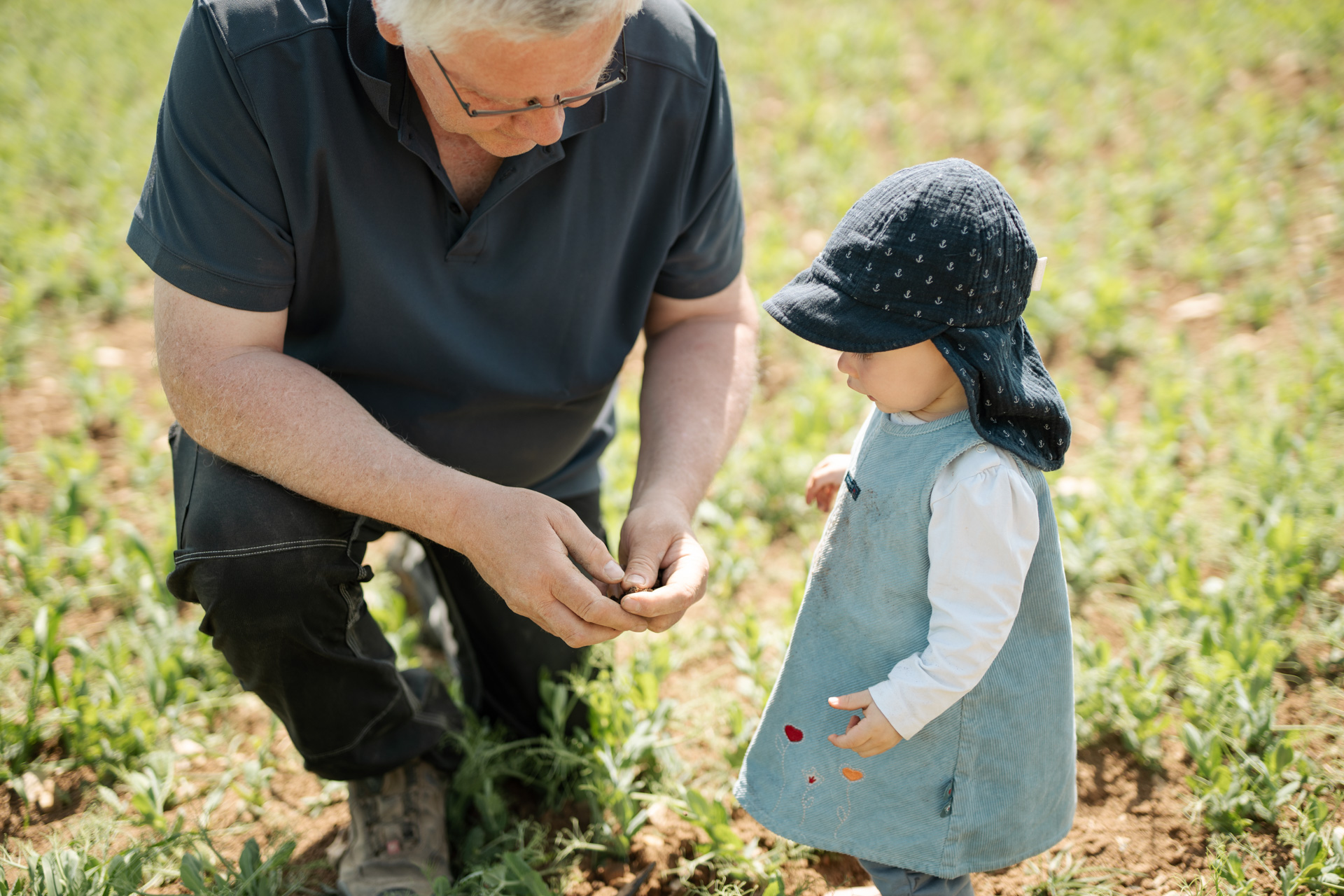 NEU.LAND. Pilotbetrieb Schneider Erbsen