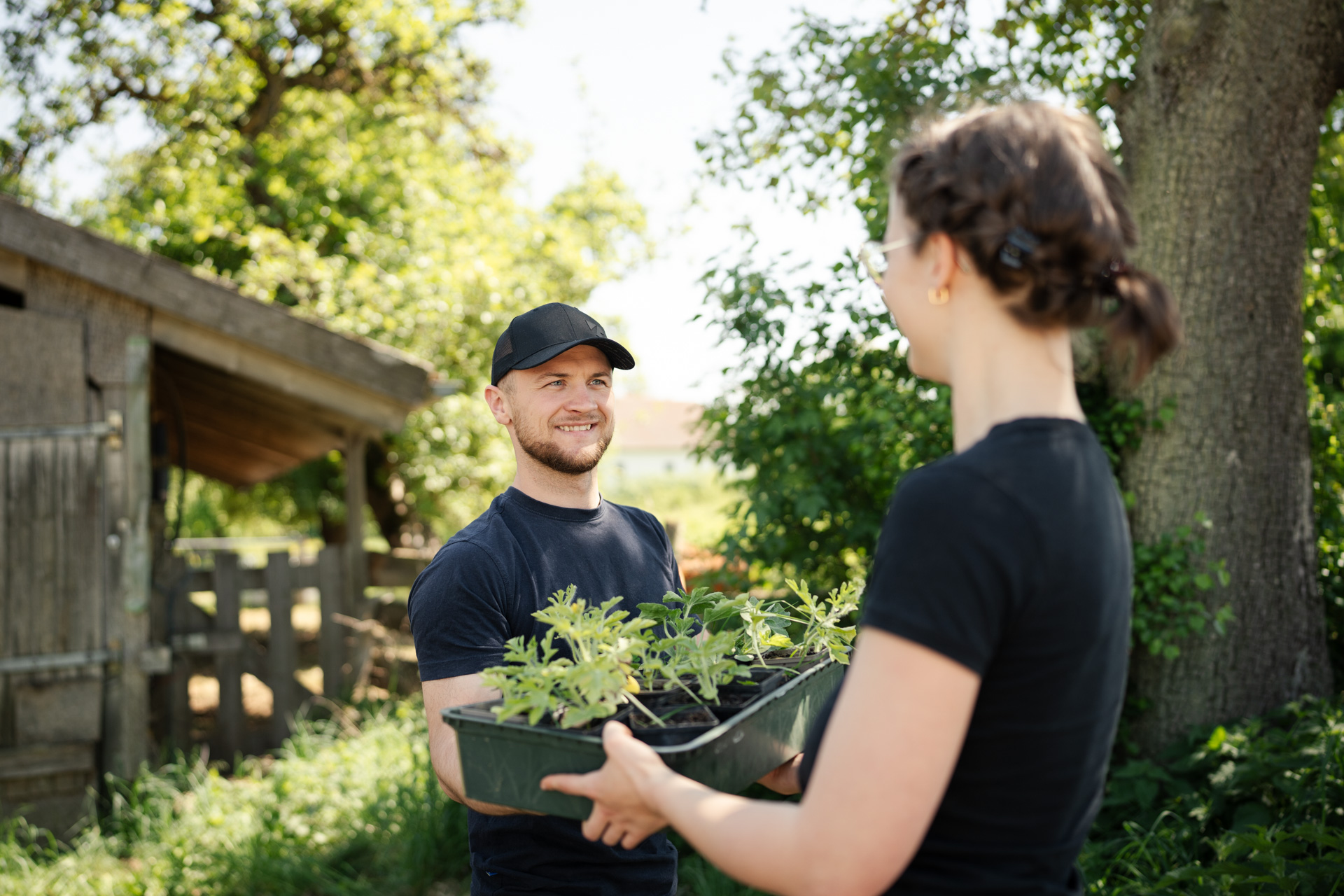 NEU.LAND. Pilotbetrieb Schneider Jungpflanzen 2