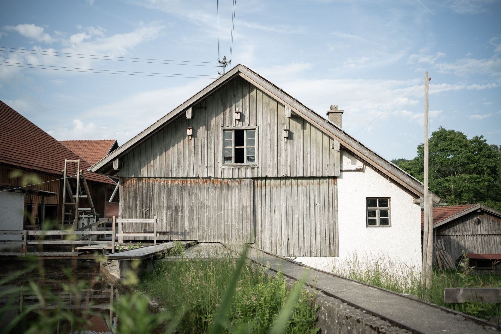 NEU.LAND. Pilotbetrieb Filser Sägewerk