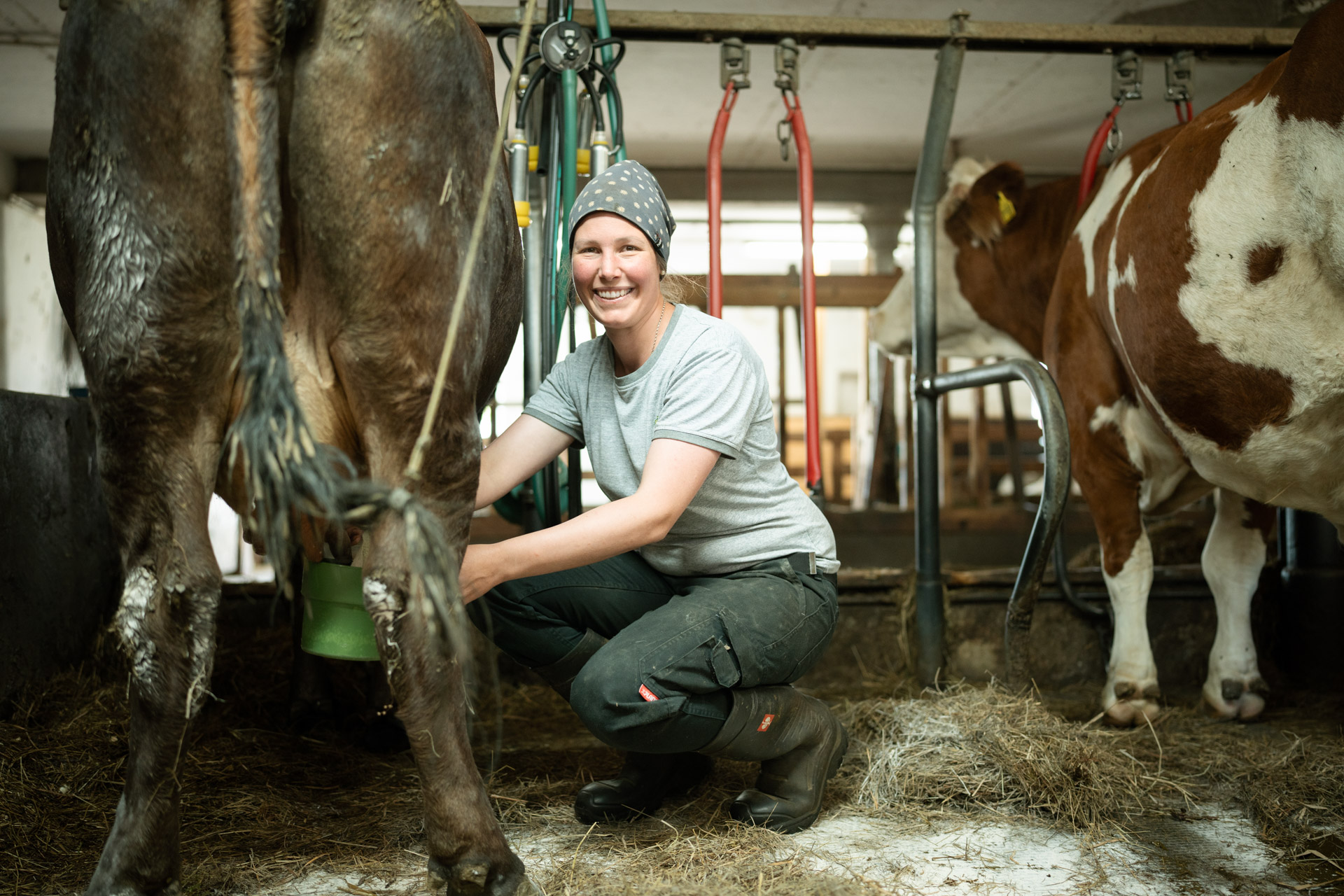 NEU.LAND. Pilotbetrieb Clement Melken