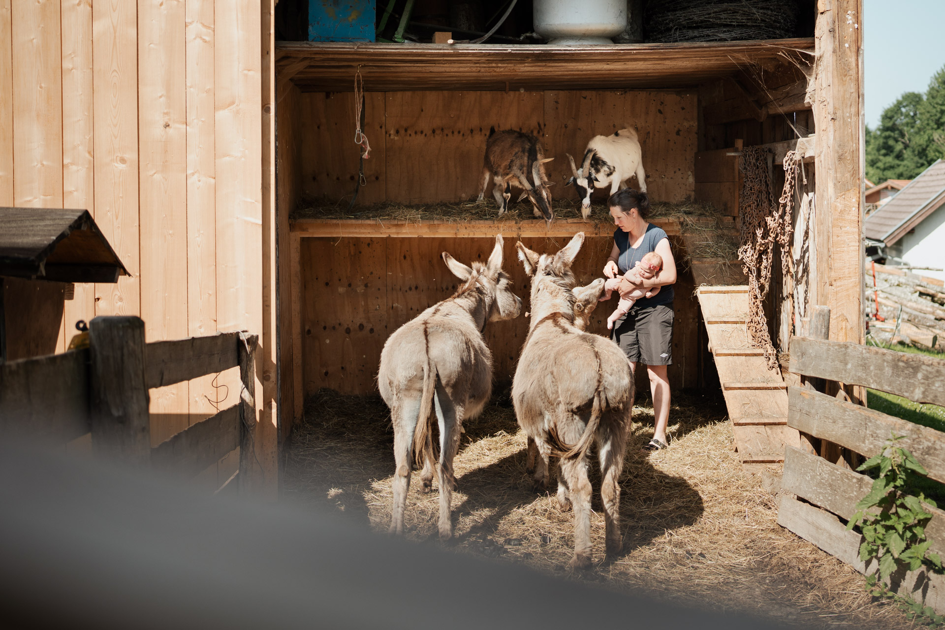 NEU.LAND. Pilotbetrieb Clement Esel