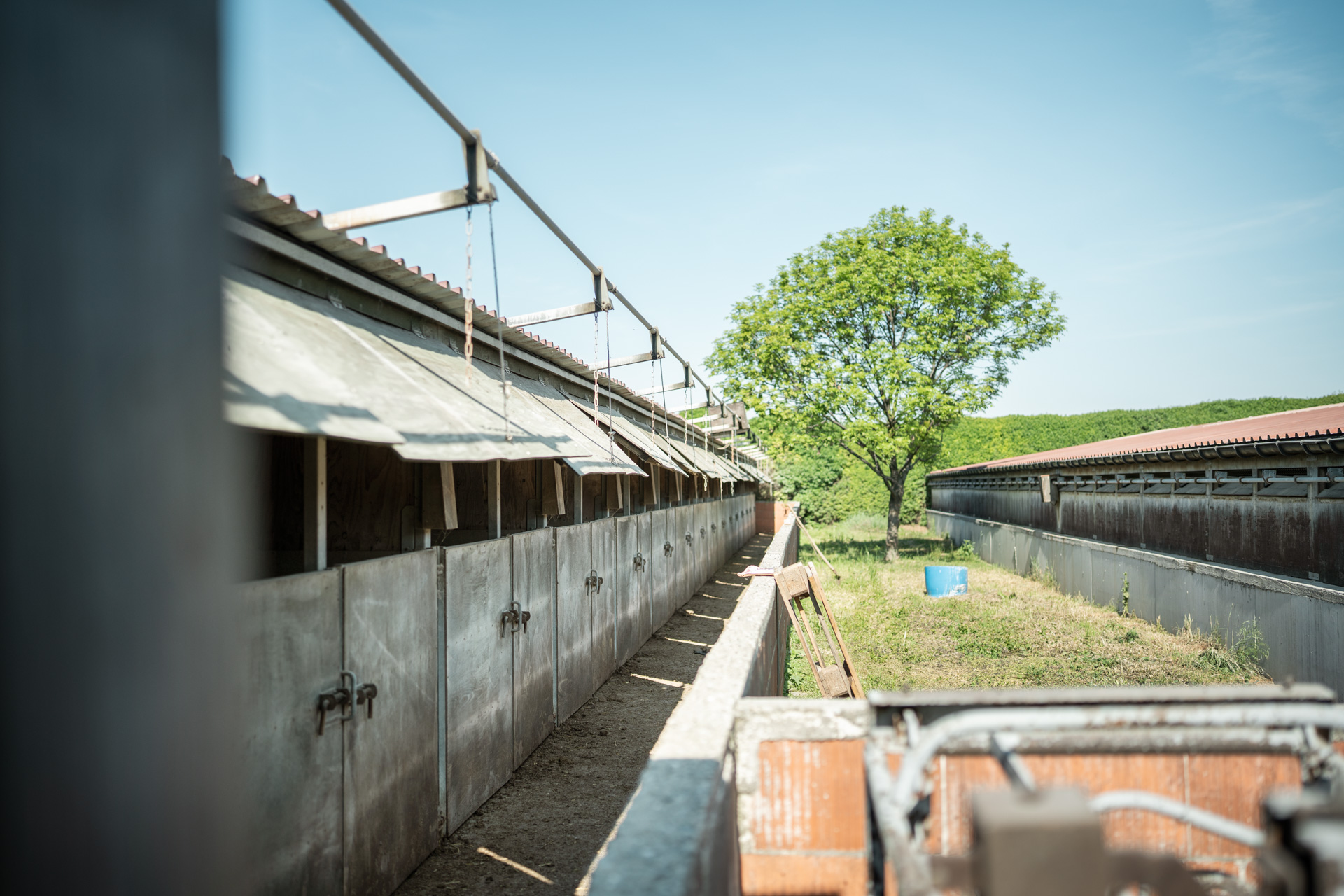 NEU.LAND. Pilotbetrieb Löfflad Schweinestall