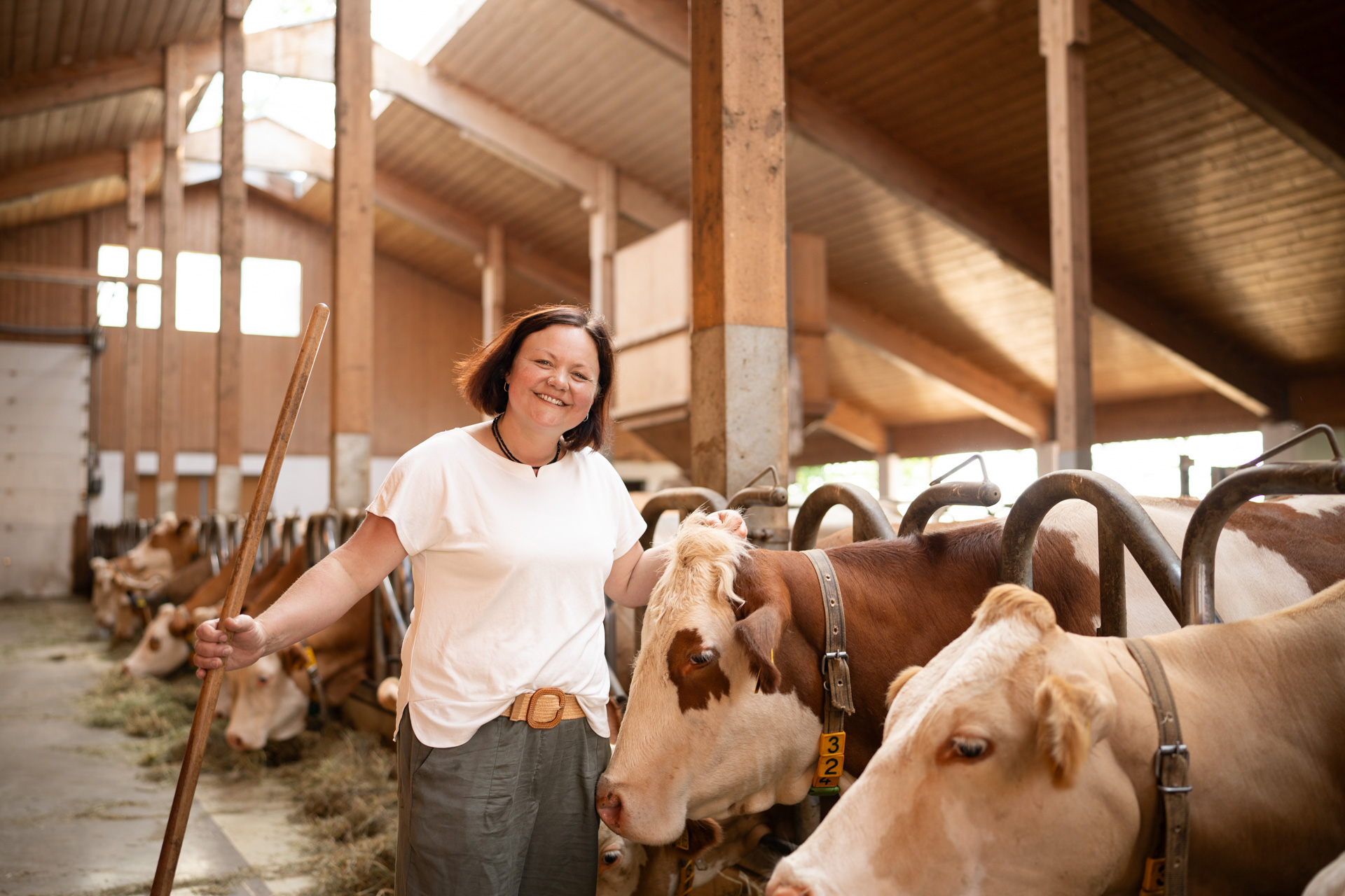 NEU.LAND. Pilotbetrieb Stückl Kühe