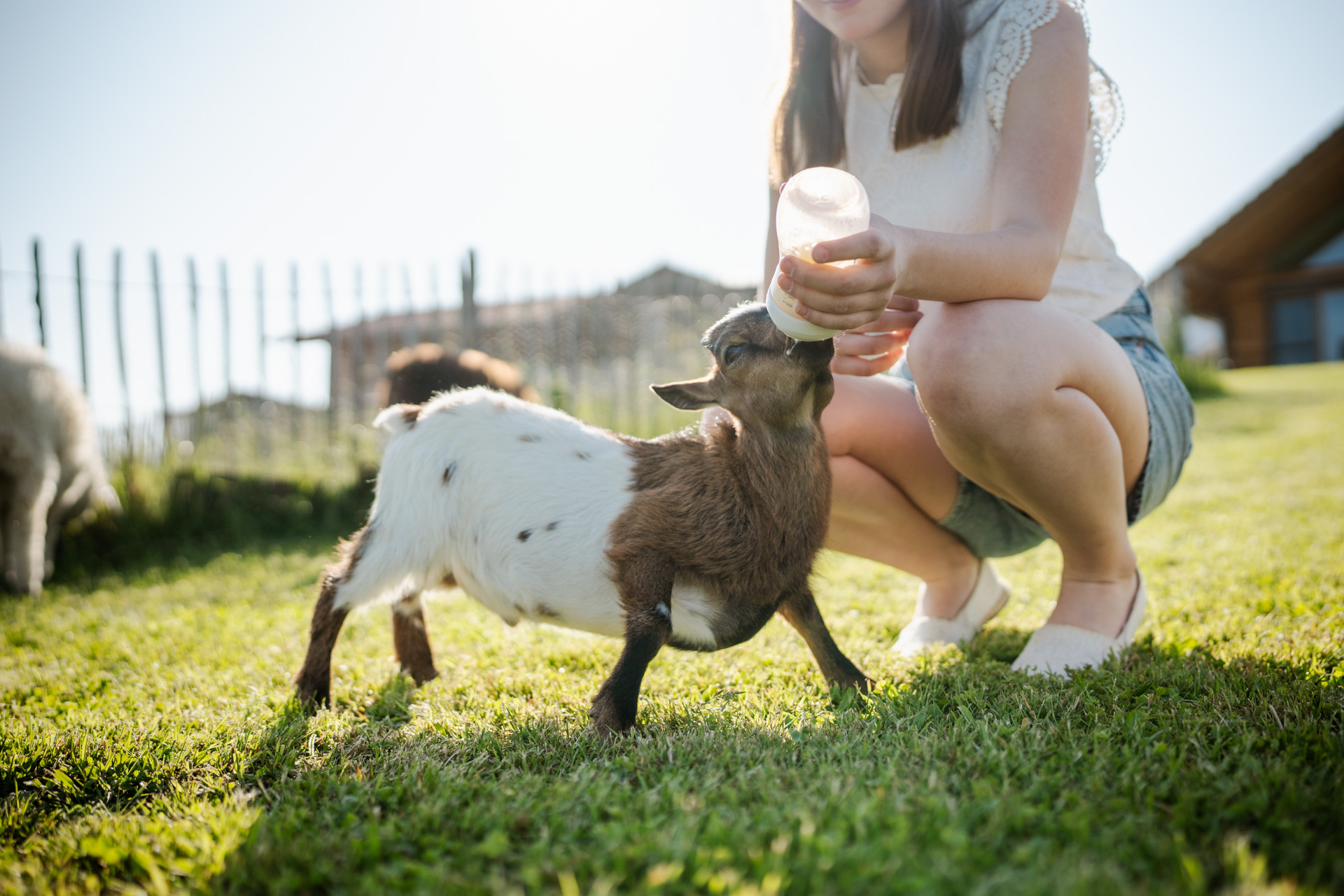 NEU.LAND. Pilotbetrieb Stückl Zicklein