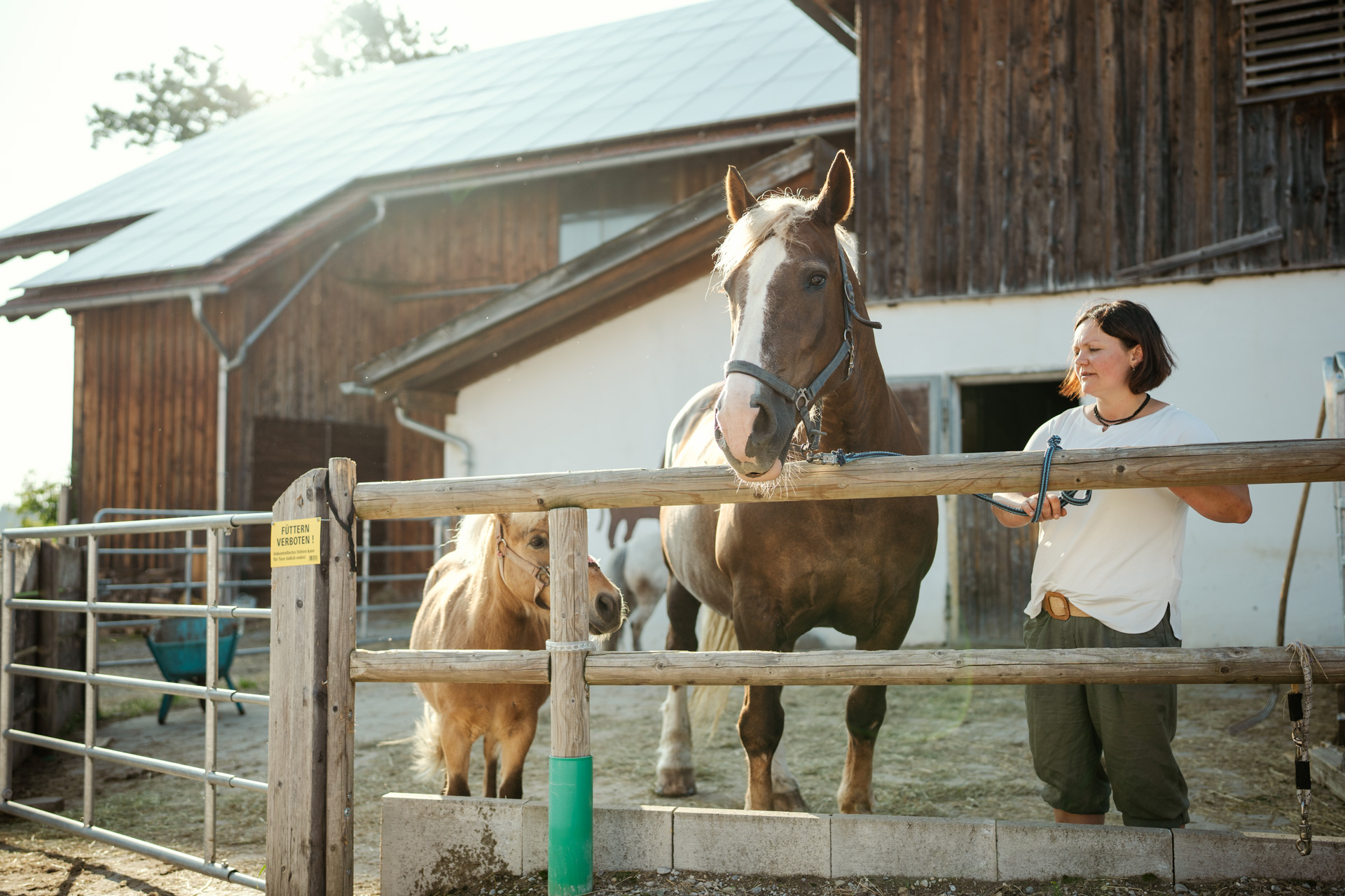 NEU.LAND. Pilotbetrieb Stückl Pferde