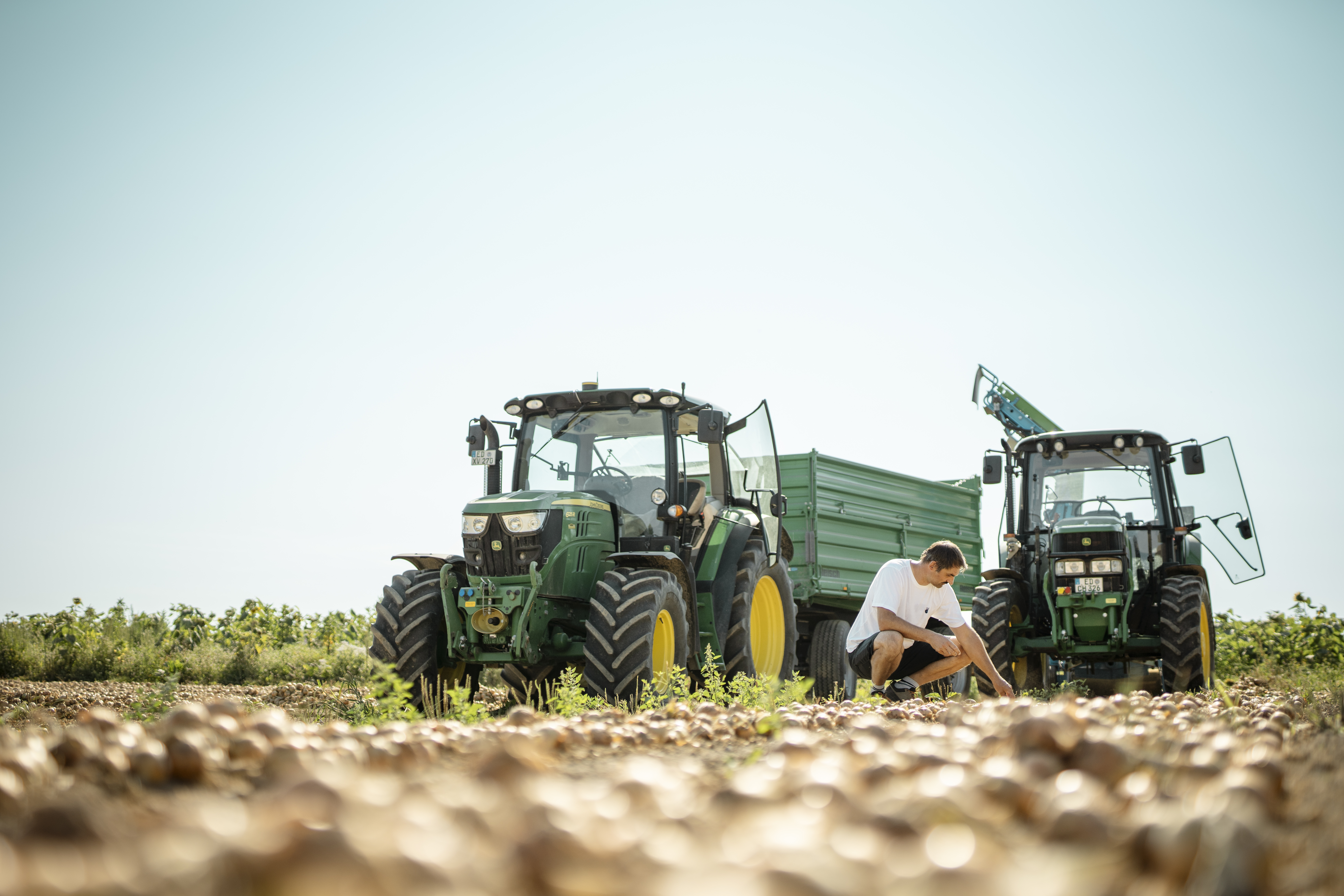 Pilotbetrieb Sigl-Mittermaier Kontrolle Zwiebeln