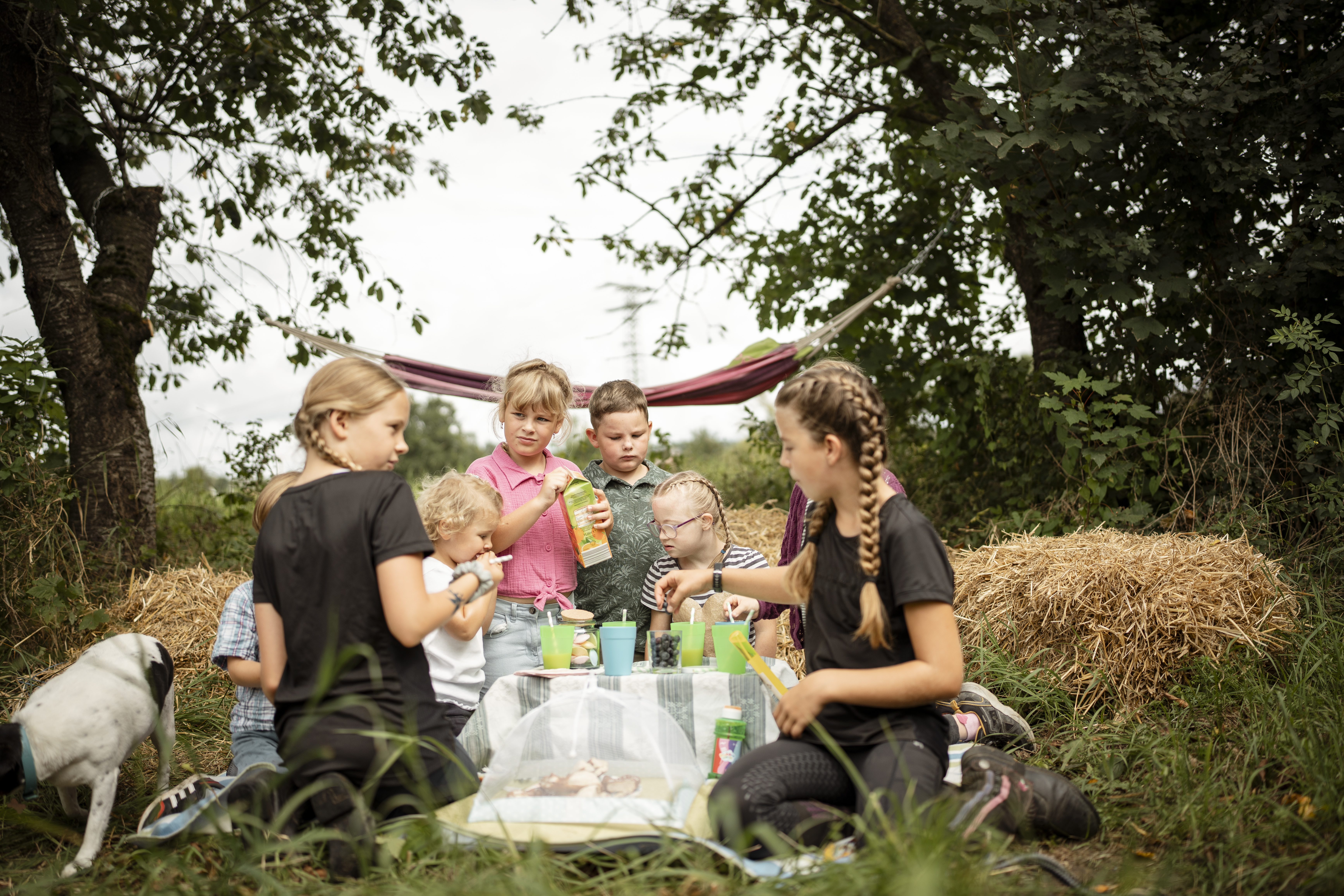 Pilotbetrieb Stolte Picknick