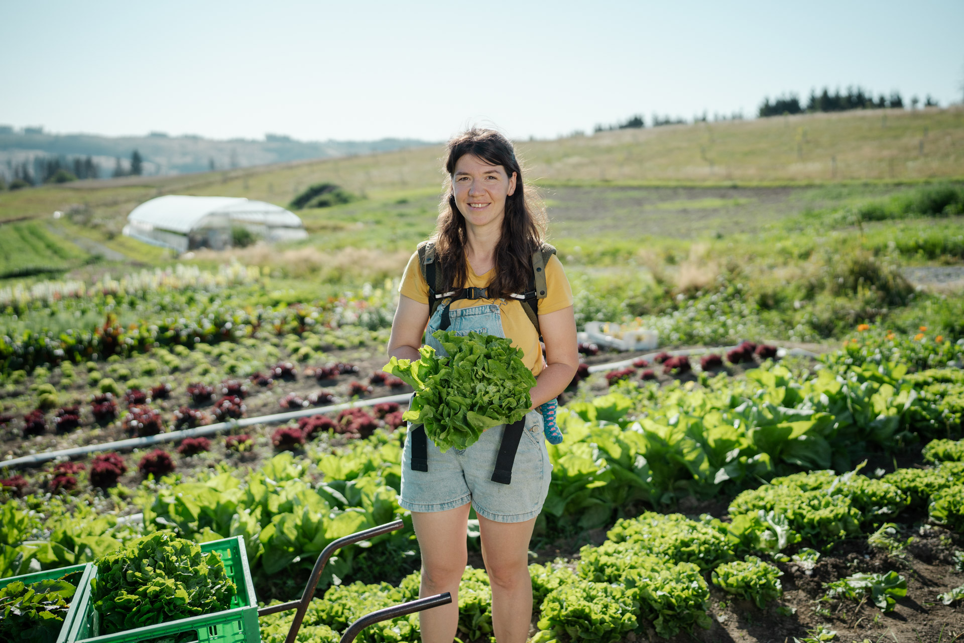 NEU.LAND. Pilotbetrieb Baier Luftbild