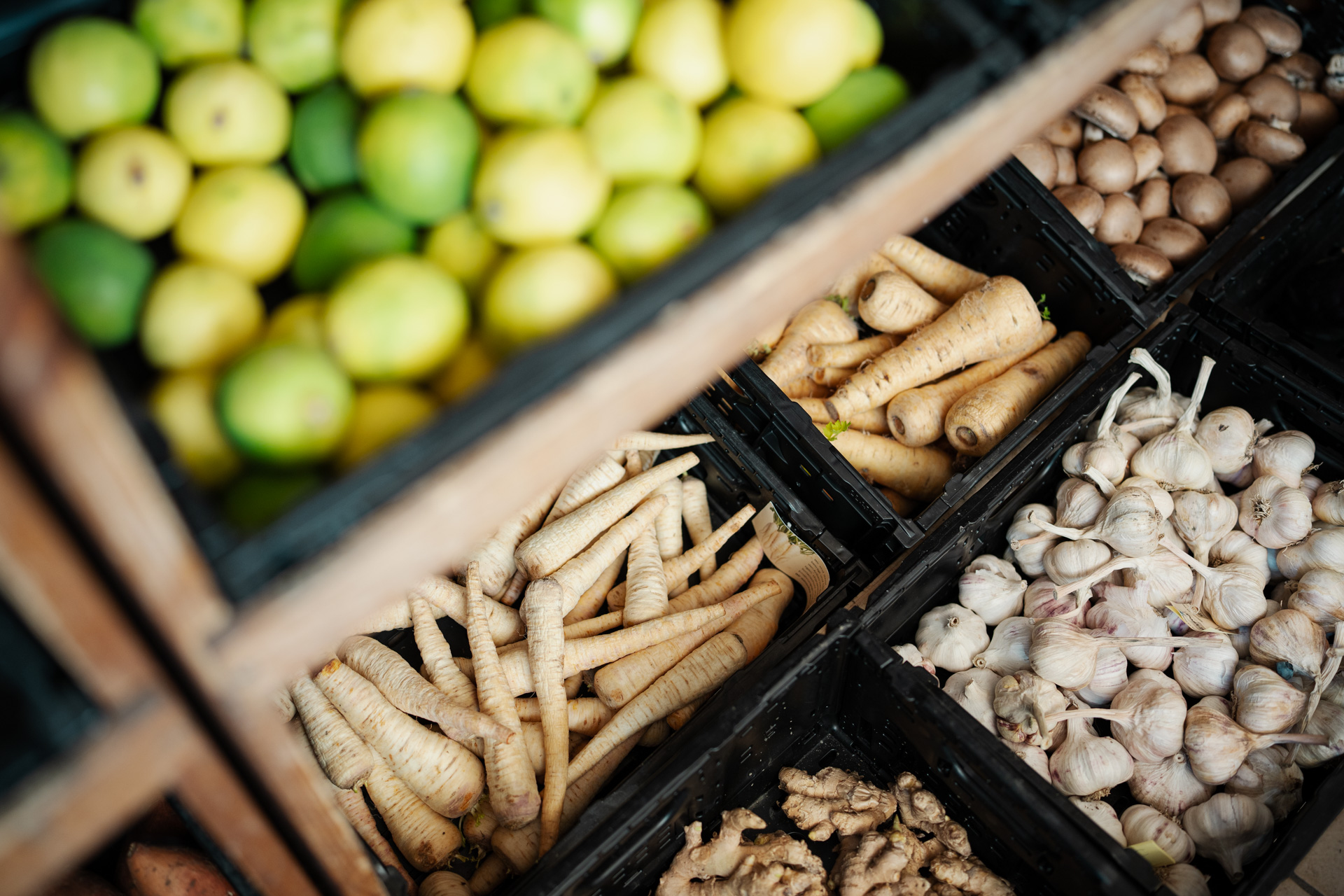 NEU.LAND. Pilotbetrieb Baier Hofladen 2