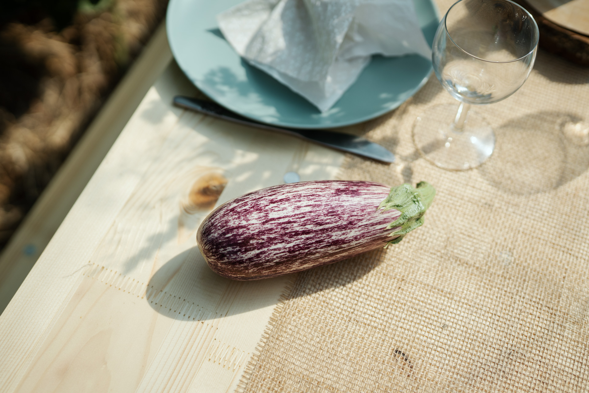 NEU.LAND. Pilotbetrieb Baier Aubergine