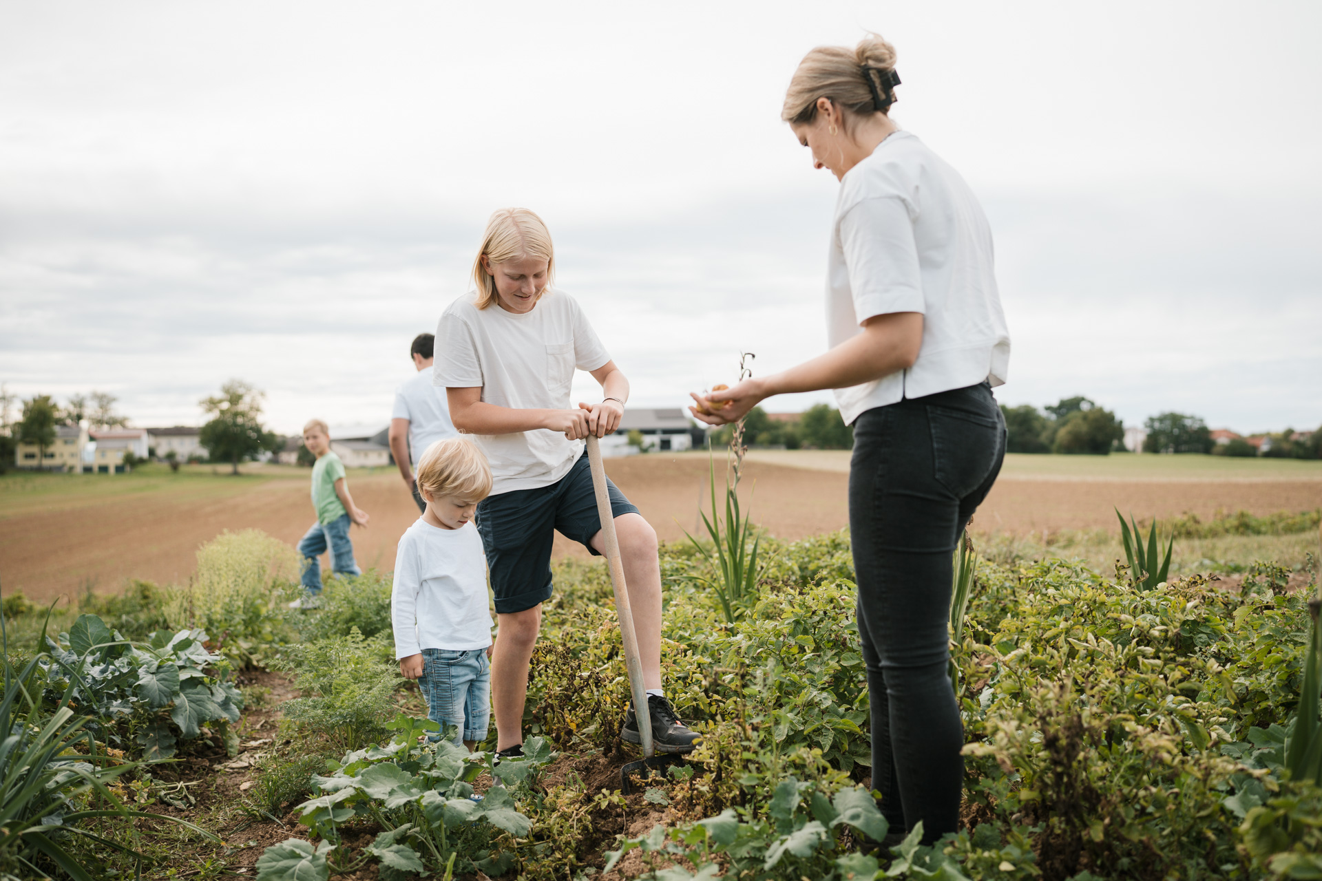NEU.LAND. Pilotbetrieb Strauß u. Grotter Kartoffelernte