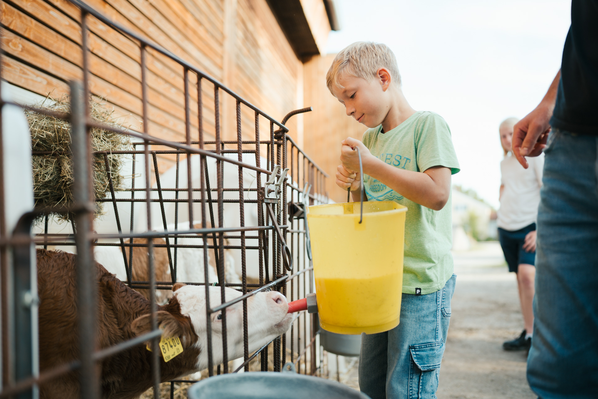 NEU.LAND. Pilotbetrieb Strauß u. Grotter Kälber tränken