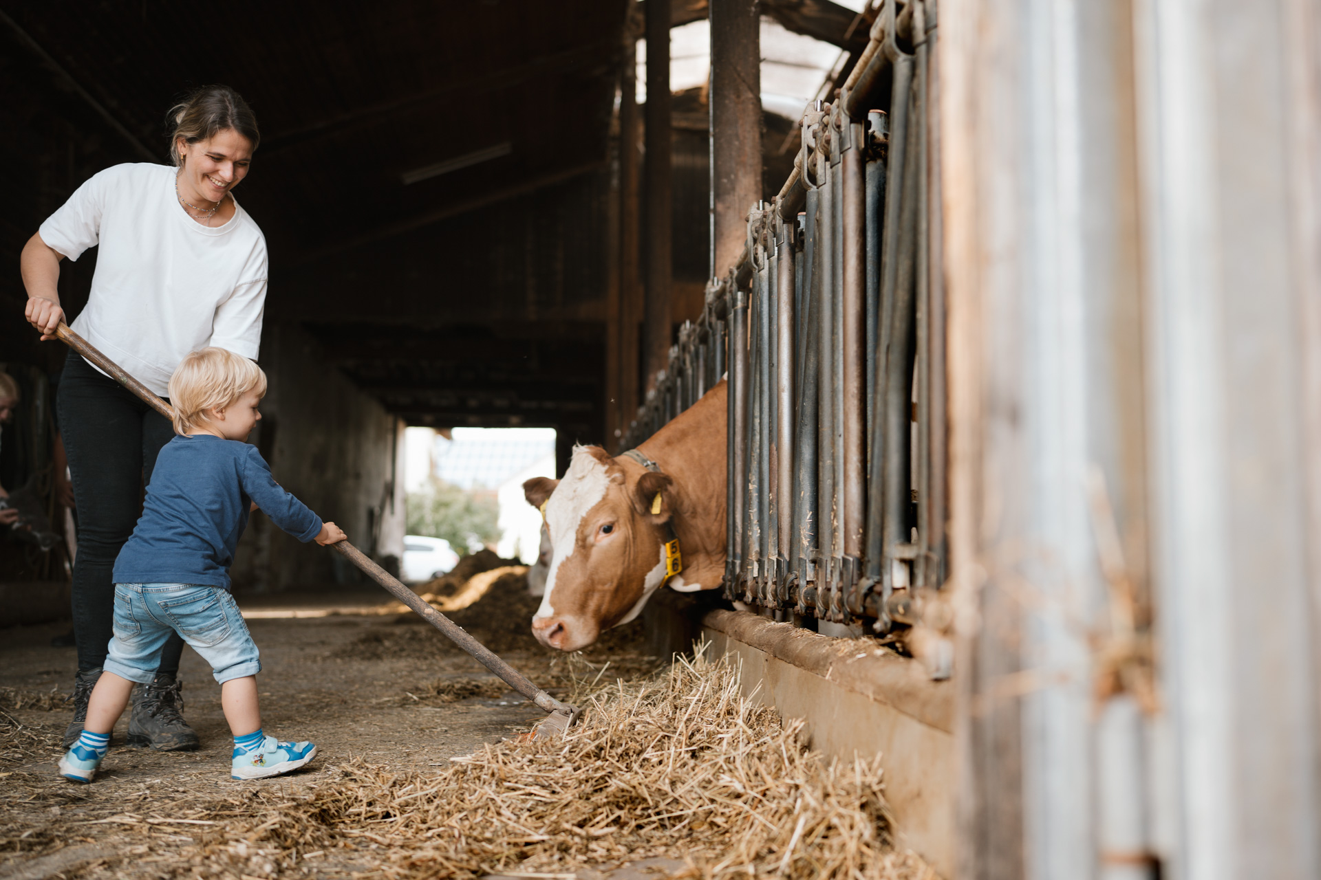 NEU.LAND. Pilotbetrieb Strauß u. Grotter Futter anschieben