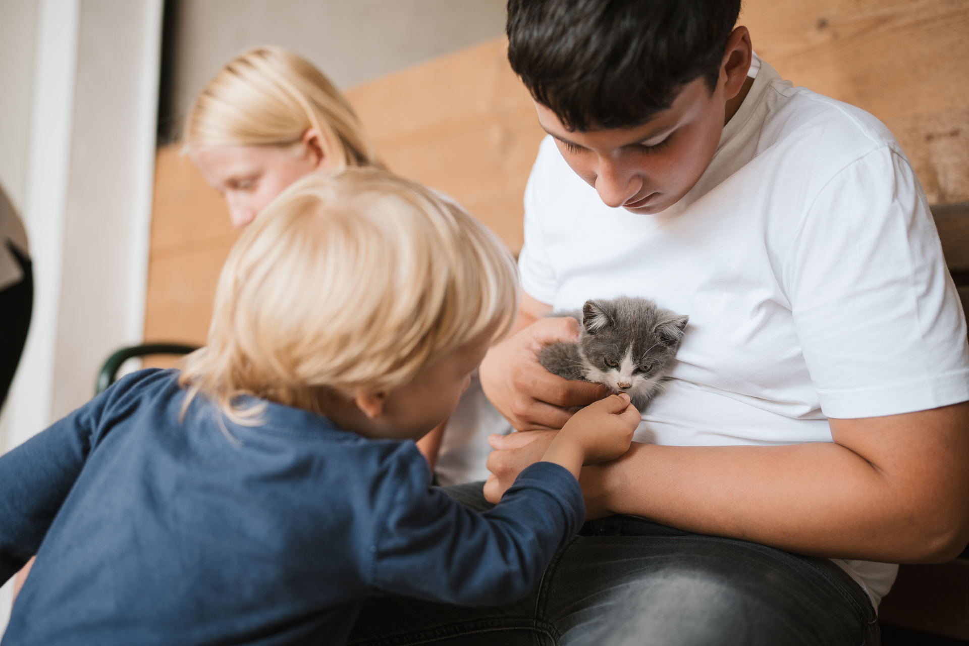 NEU.LAND. Pilotbetrieb Strauß u. Grotter Katze