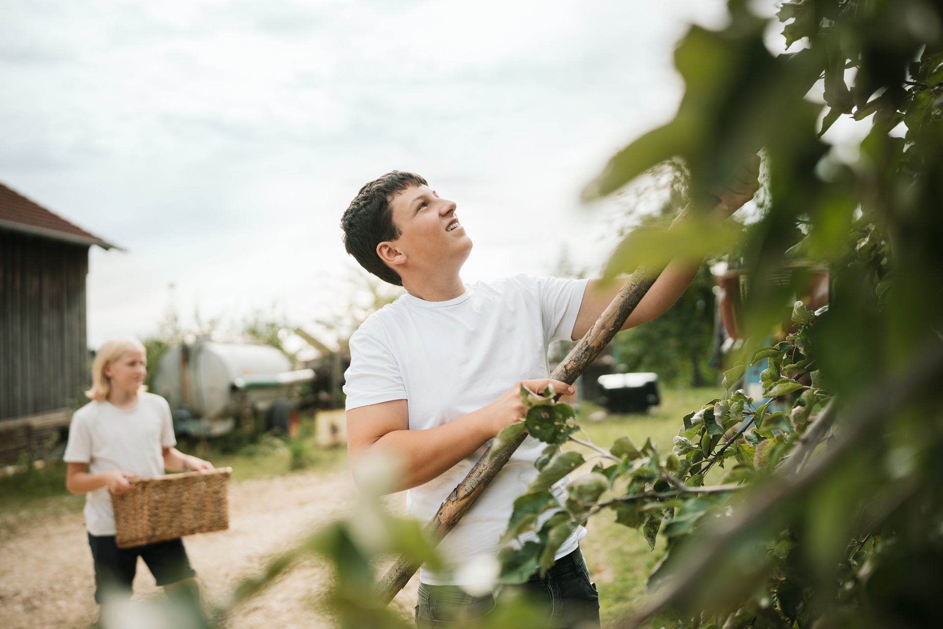 NEU.LAND. Pilotbetrieb Strauß u. Grotter Kartoffelernte