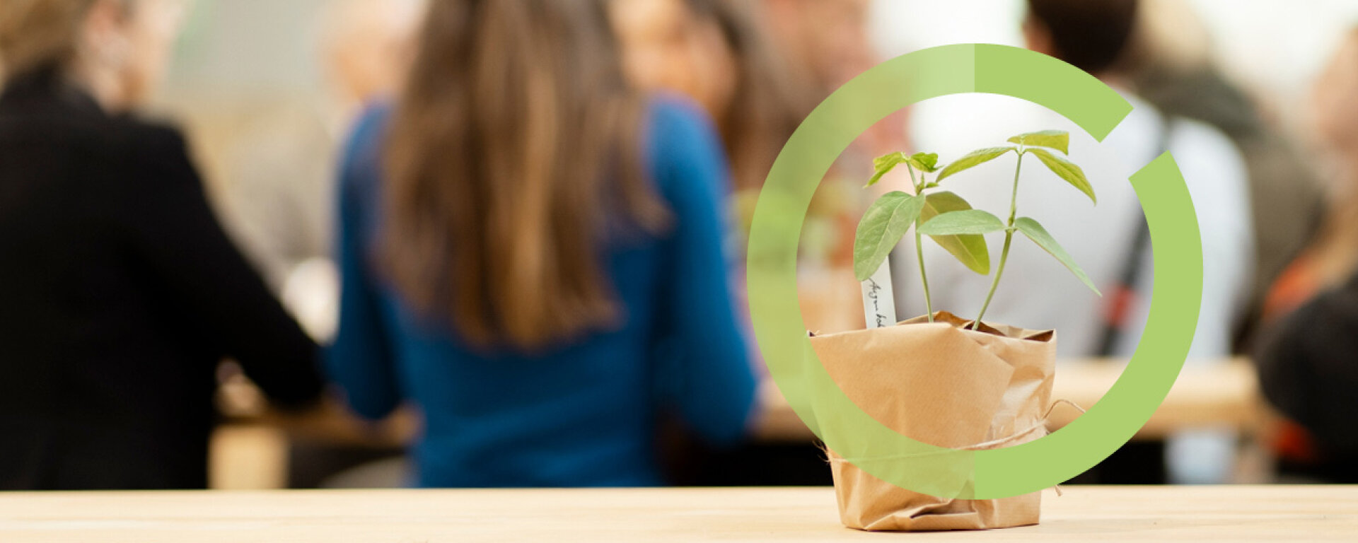 Zwei Sojapflanzen auf einem Holztisch