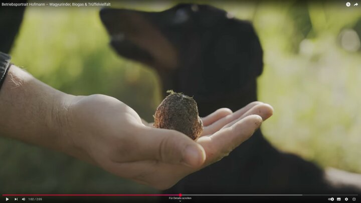 Screenshot Betriebsportrait NEU.LAND.