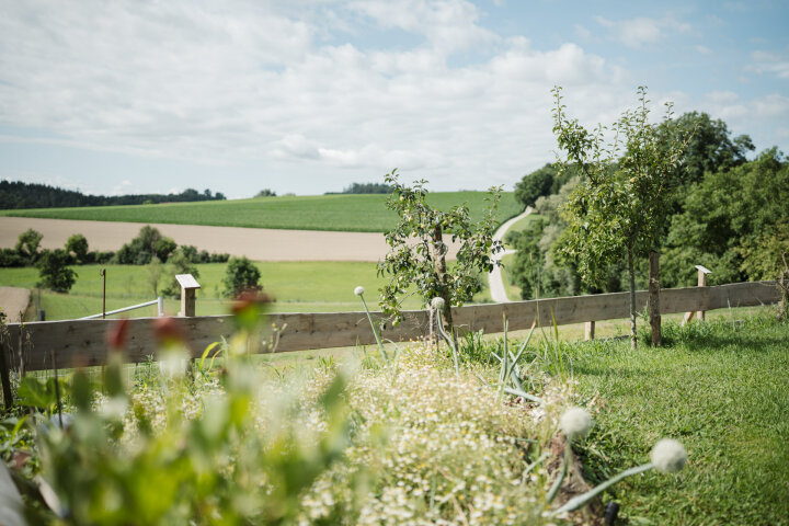 Hofstory Hennetsberg Garten