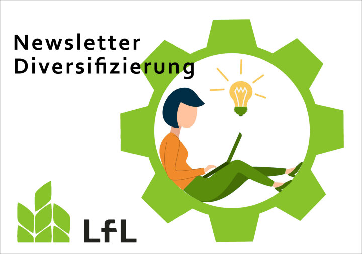 Eine Frau sitzt in einem Traktorreifen und arbeitet an einem Laptop. Ihr geht ein Licht auf. Darüber ist "Newsletter Diversifizierung" zu lesen