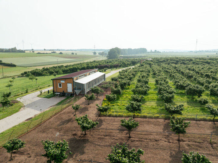 Mobilställe in Haselnussplantage