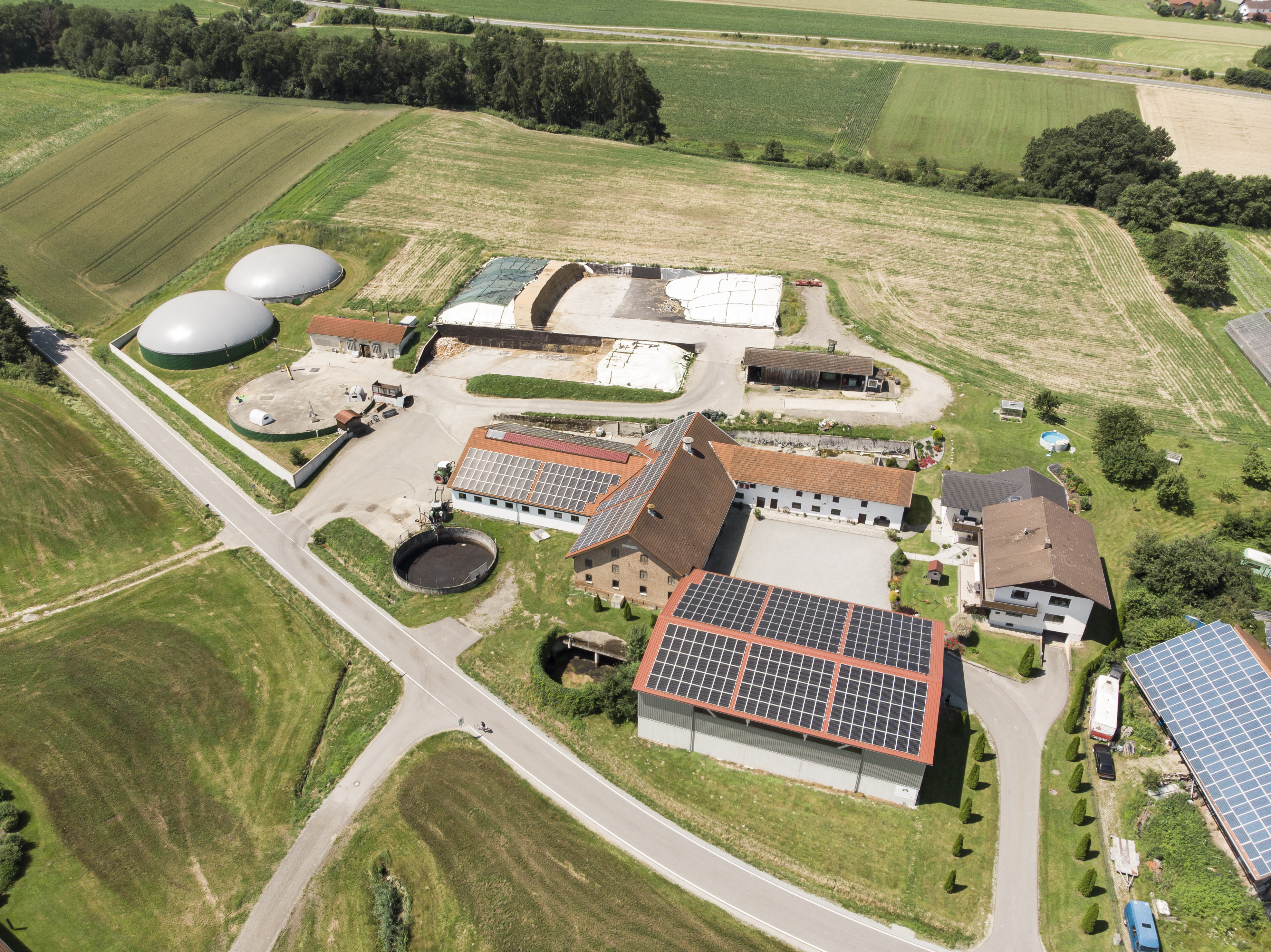 Hofbild Kellhuber Rottaler Edelpilze