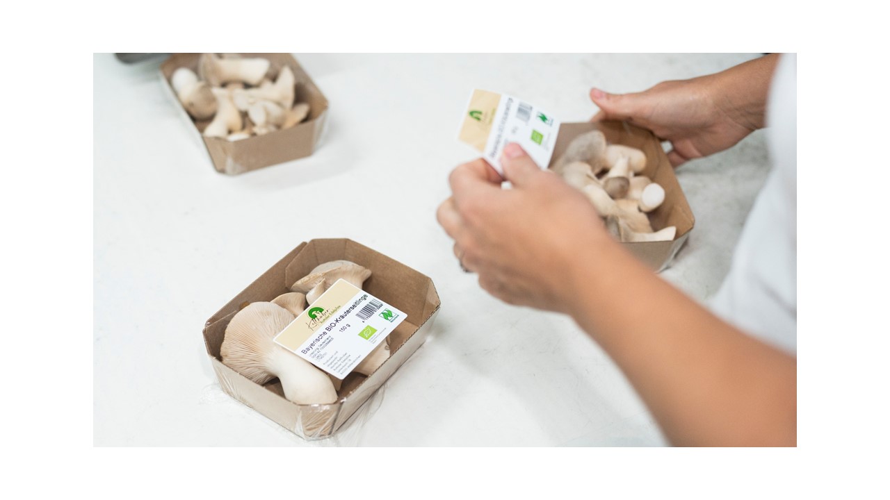 Rottaler Edelpilze Verpackte Pilze